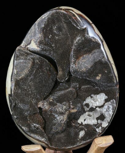 Septarian Dragon Egg Geode - Black Crystals #40936